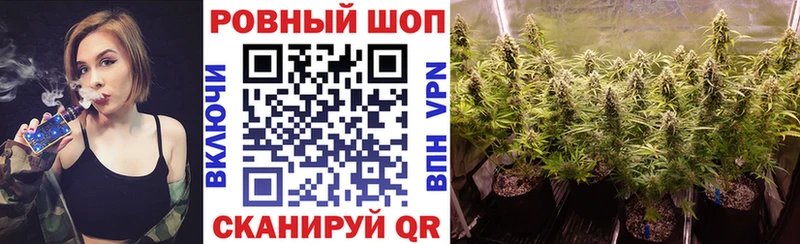 Купить закладку Cocaine  Галлюциногенные грибы  ГАШИШ  Марихуана  Меф  Павловская