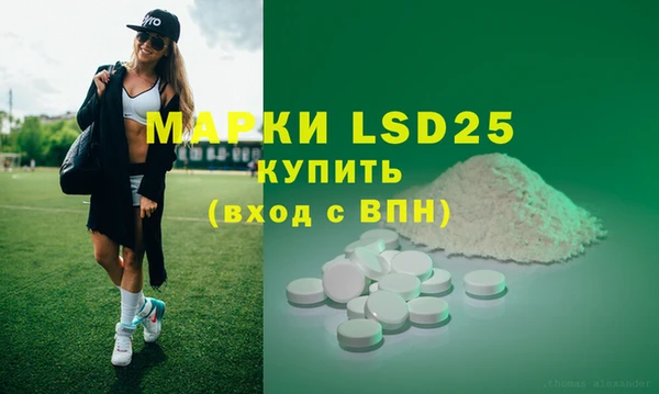 mdma Тайга