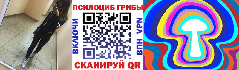 Купить закладки  Павловская  Псилоцибиновые грибы ЛСД 